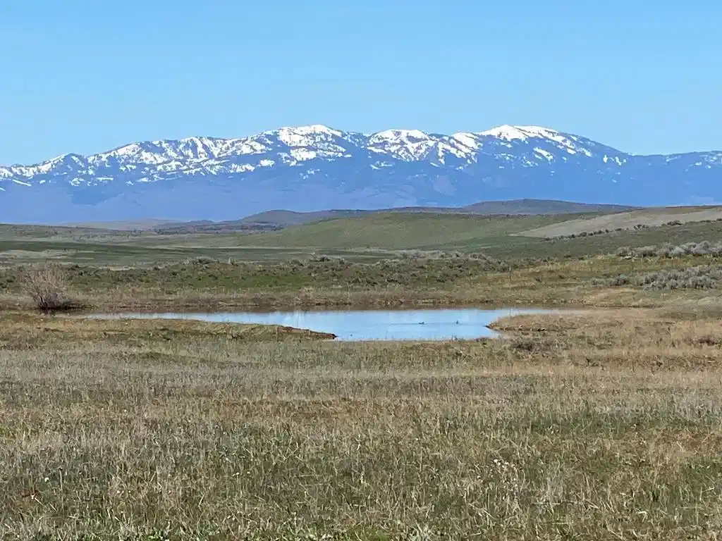 Image 1: Main View