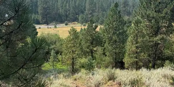 Lot 21 West Pine Drive