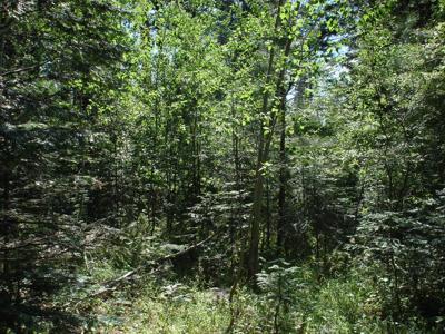Lot 2 Majestic View Drive