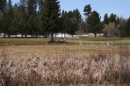 144 Brundage View Court