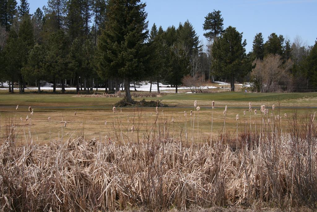 Image 1: Main View