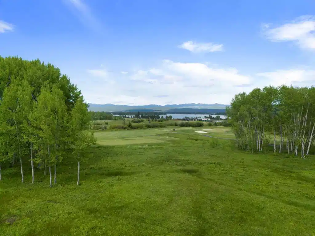 Image 1: Main View