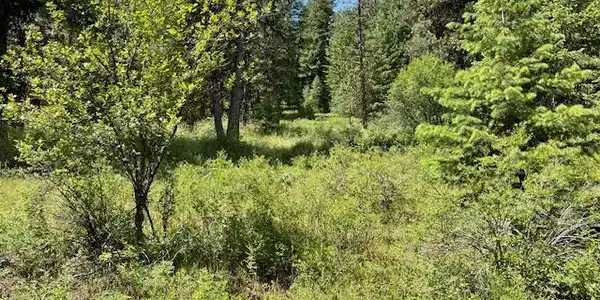 Lot 20 Little Salmon Road