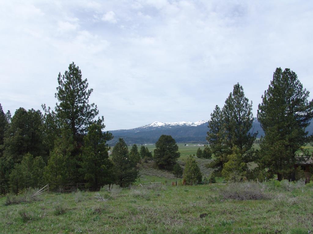 Image 1: Main View