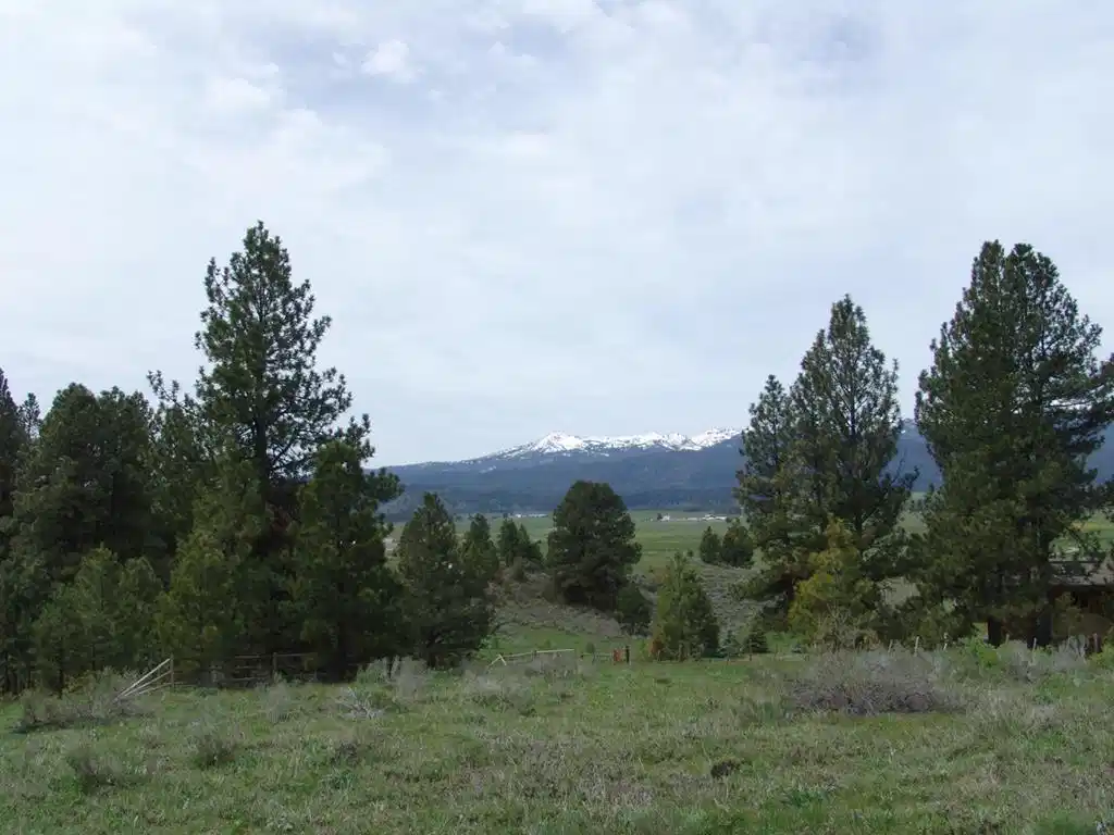 Image 1: Main View