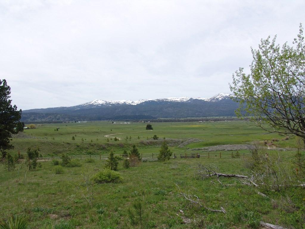 Image 2: Mountain & Meadow Views