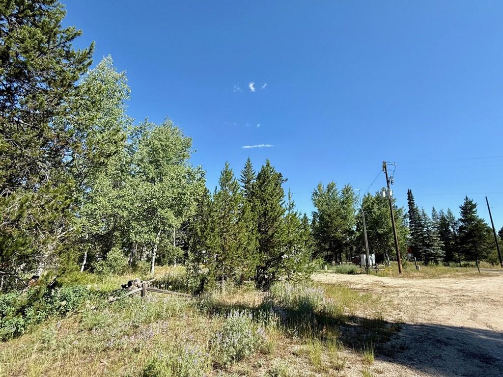 Image 4: Southeast Corner of Lots Looking North
