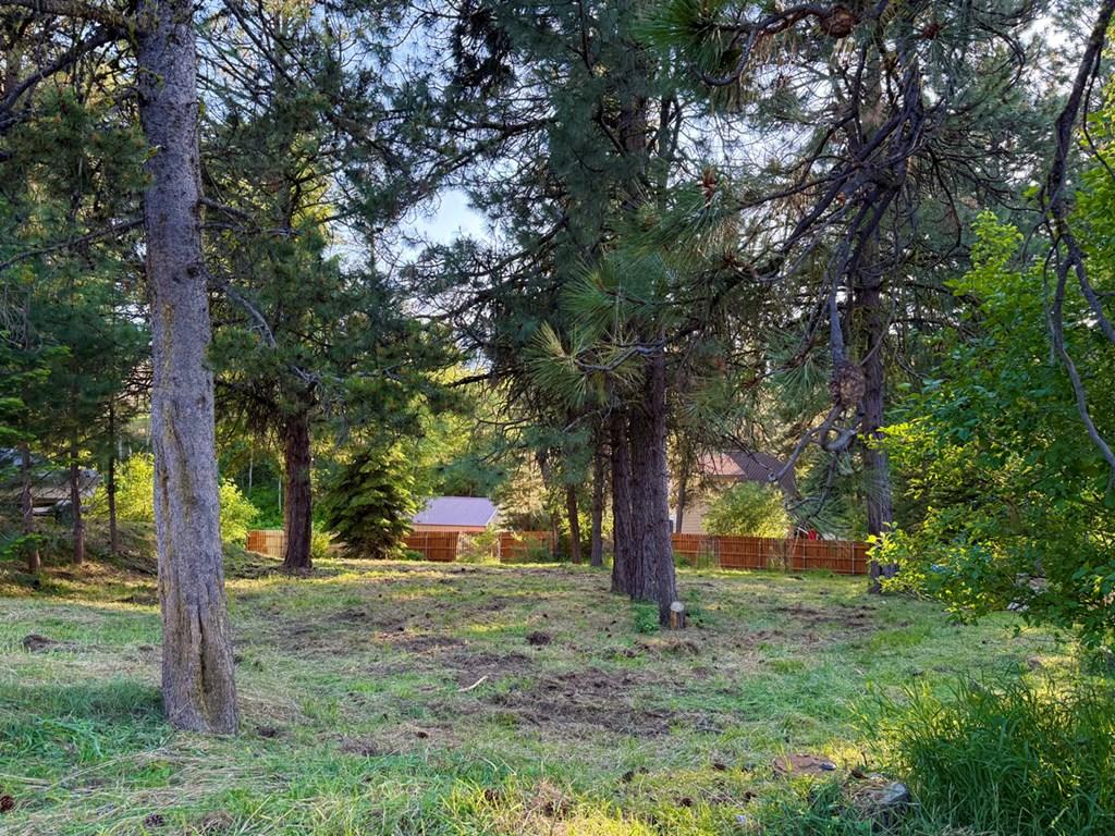 Image 2: Mature Trees