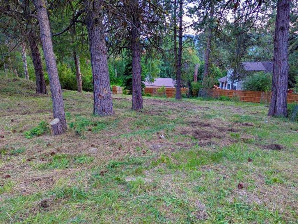 Image 4: Partially Fenced Backyard