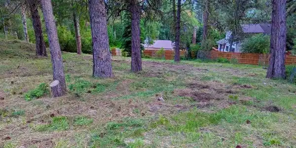 Image 4: Partially Fenced Backyard