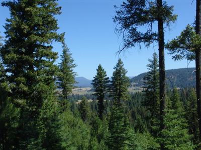TBD Skunk Creek Road