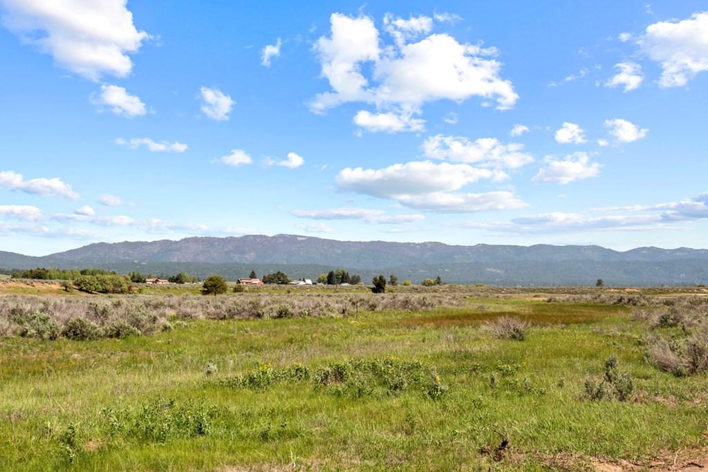 Image 2: Sweet View of East Mountain