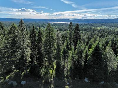 1615 Majestic View Drive