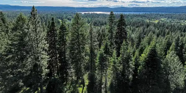 1615 Majestic View Drive