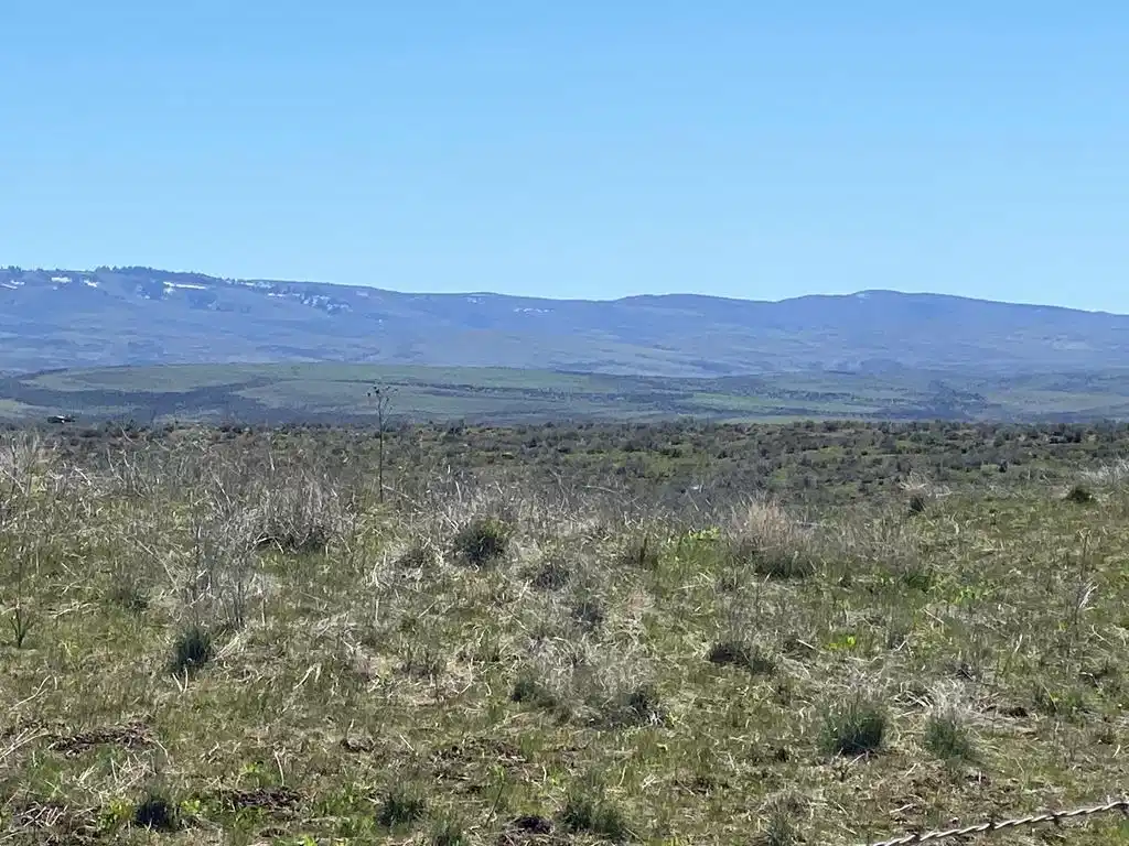 Image 1: Main View
