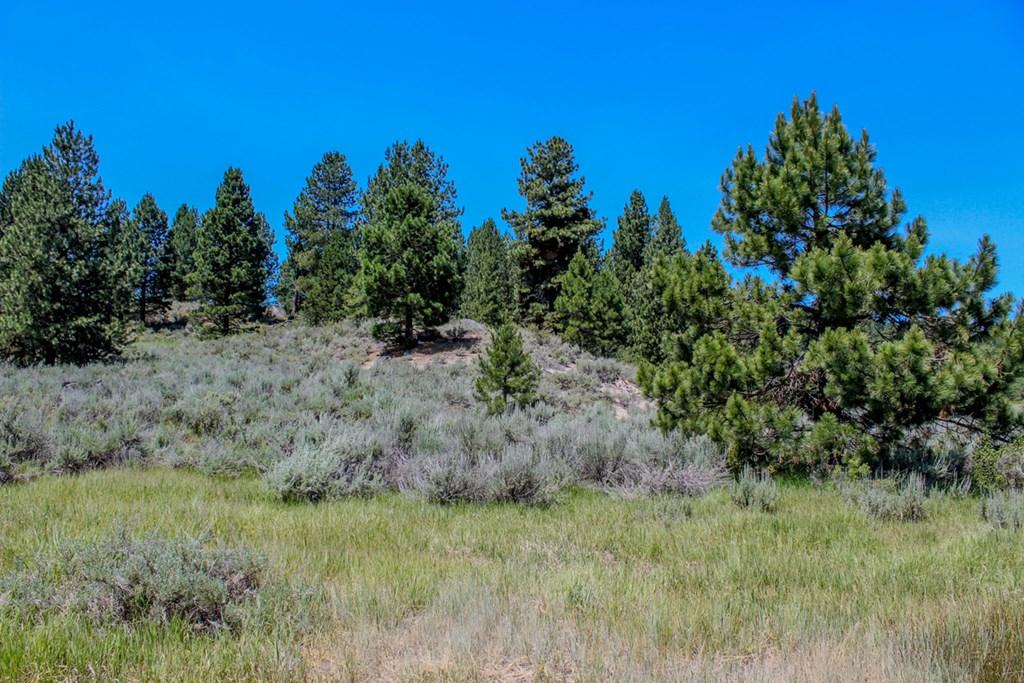 Image 4: Gorgeous Building Site on the Hill