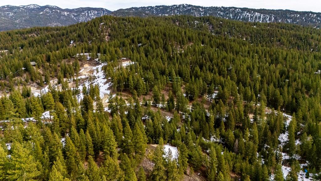 Image 2: Towering Trees  Makes Lot Feel Secluded