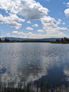 Lot 56 Rawhide Loop