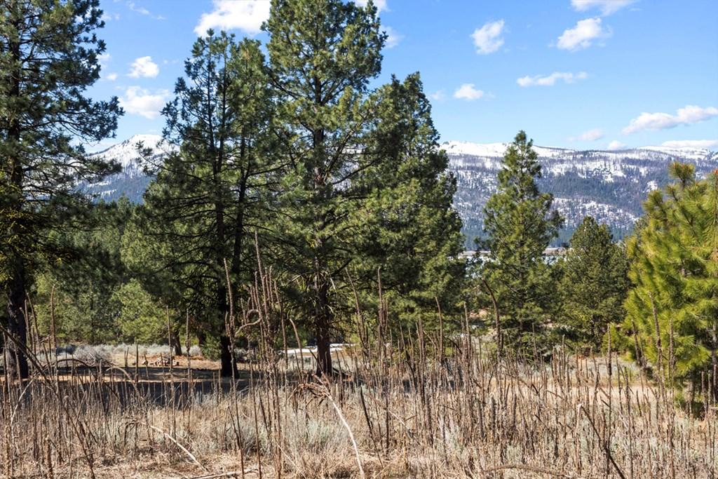 Image 4: Gently Sloped Lot With Awesome Views