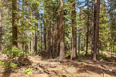 80 Arling Trail