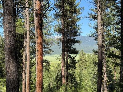 3951 Hot Springs Road