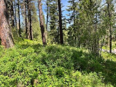Lot 23 Hot Springs Road