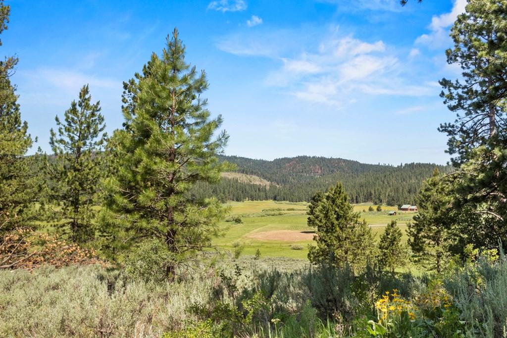 Image 3: Views to the North