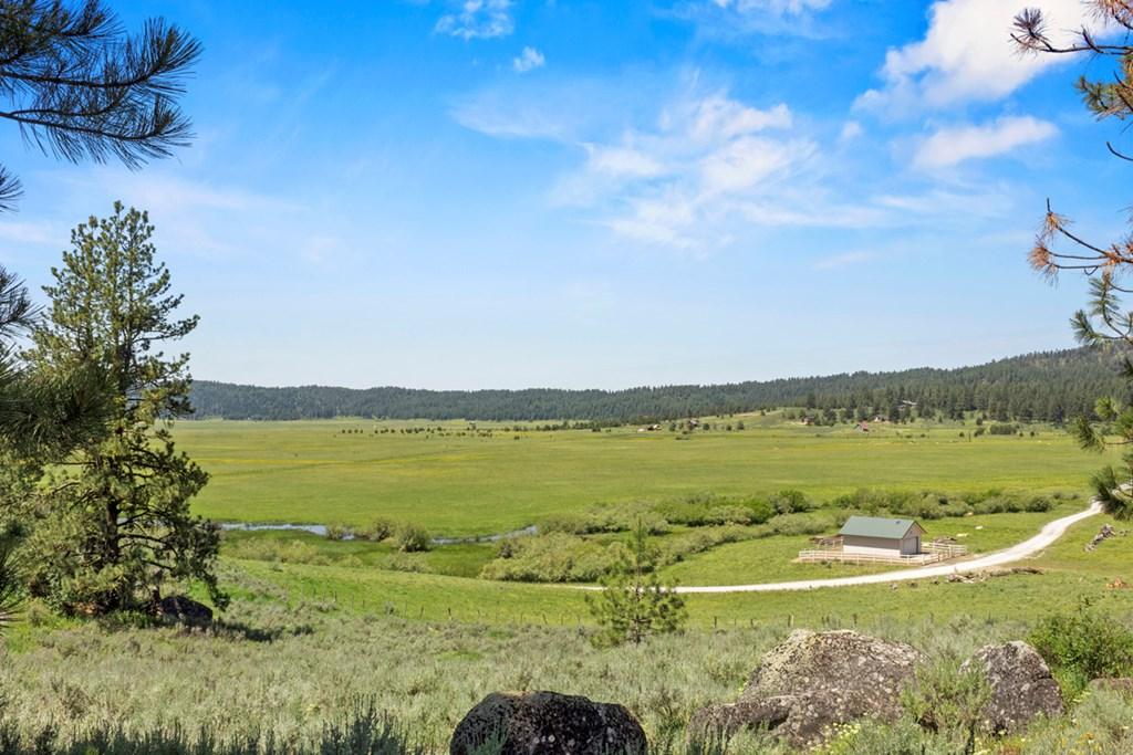 Image 4: Valley Floor Below