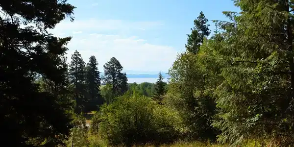 5 Tamarack Trail