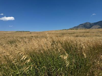 Lot 29 Whitewater Wilderness Drive