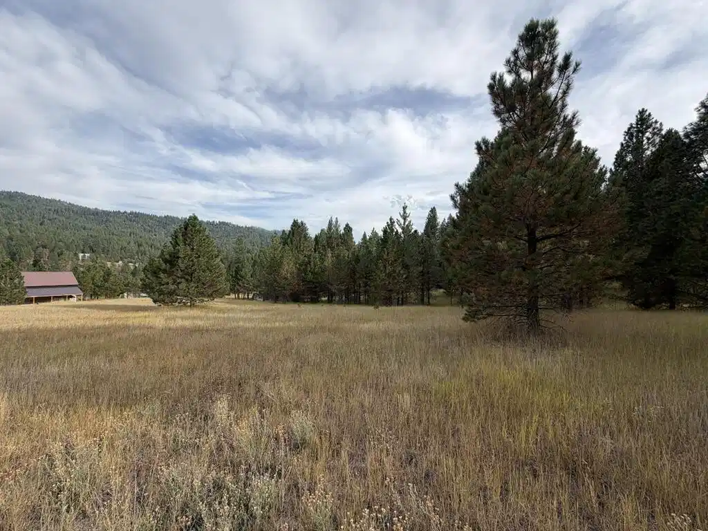 Image 1: Main View