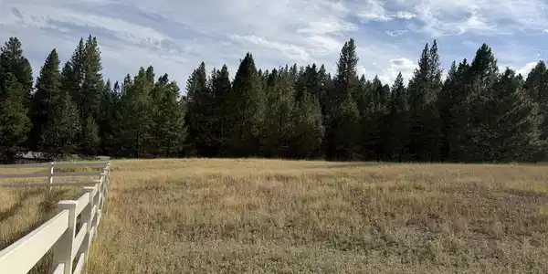 Image 2: Partially Fenced