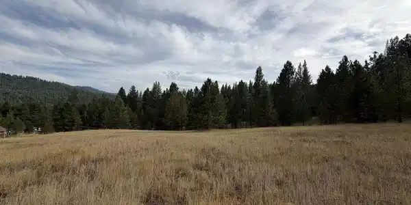 Image 4: Southern Exposure