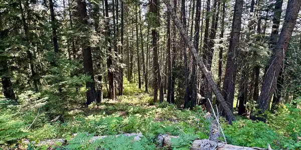 37 Arling Trail