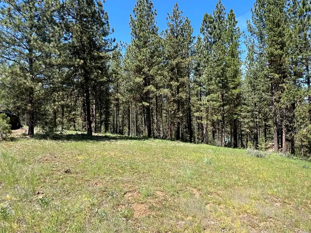 Image 1: Main View
