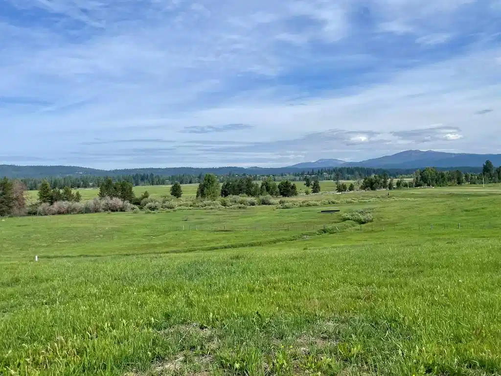 Image 1: Main View