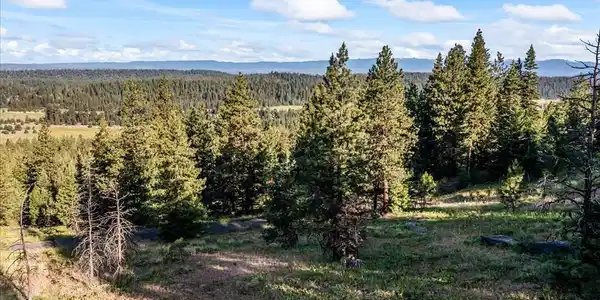 Lot 15 Harrington Place
