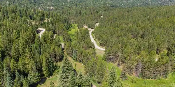 Image 3: West View Over the Property