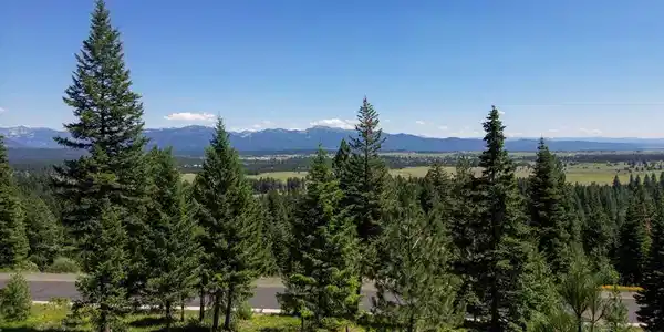 544 Osprey View Drive