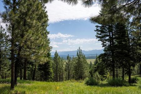 5611 Appaloosa Trail