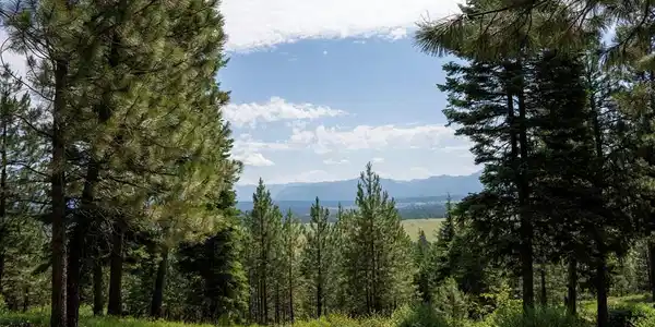 5611 Appaloosa Trail