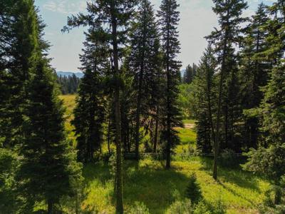 4625 Williams Creek Loop