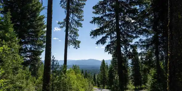 645 Migratory Ridge