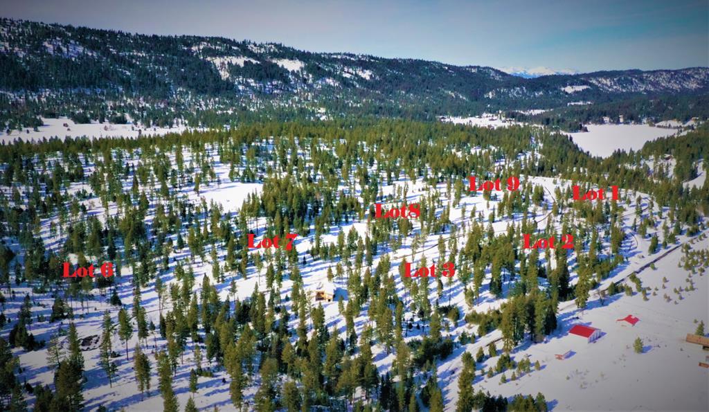 Image 4: Numbered Lots