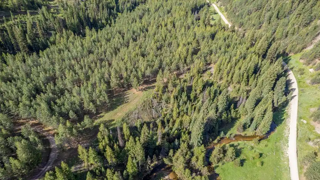 Image 1: Main View