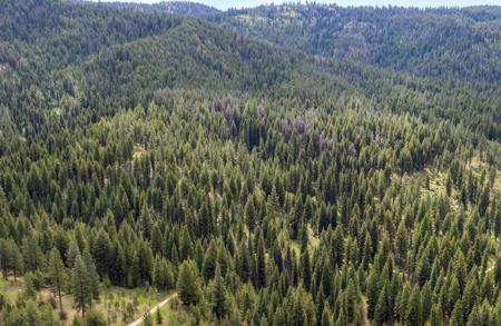TBD 42 Clear Creek Road