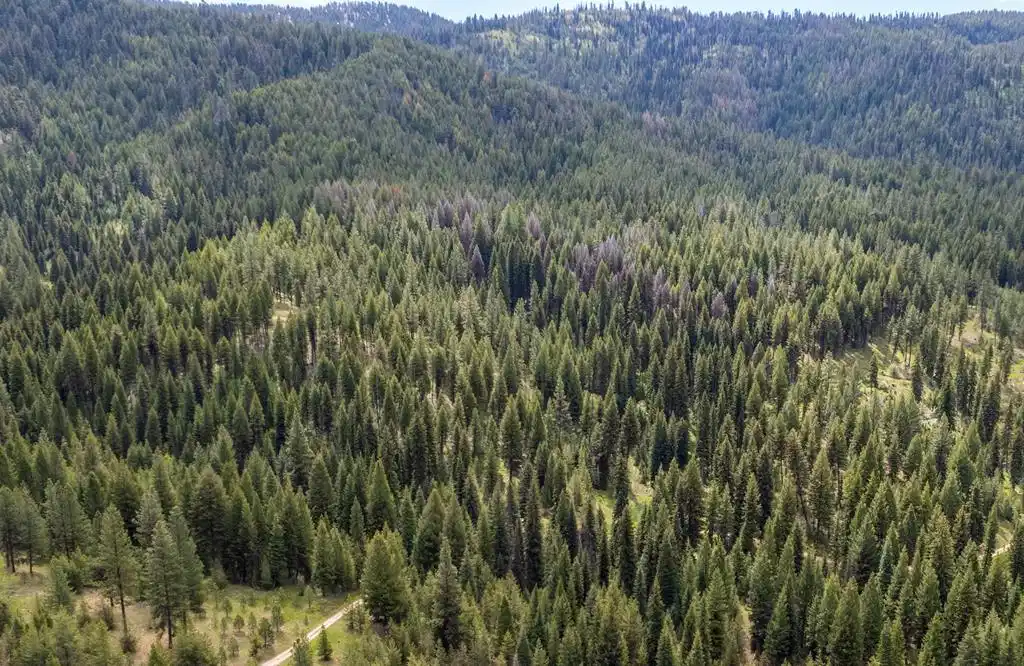 Image 1: Main View