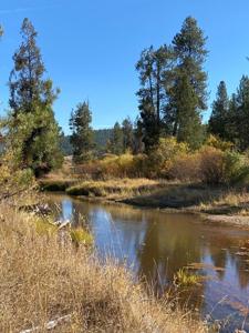 Lot 7 Empty Saddle Way