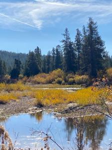 Lot 11 Gold Fork Road