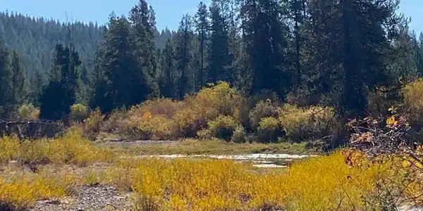 Lot 11 Gold Fork Road